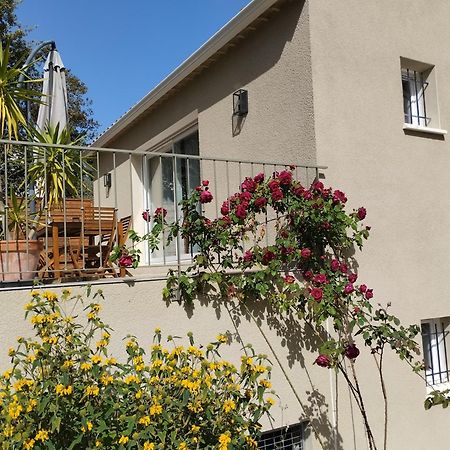 Charmante Maison Avec Jardin Aux Portes Des Gorges De L'Ardeche Saint-Julien-de-Peyrolas Eksteriør billede