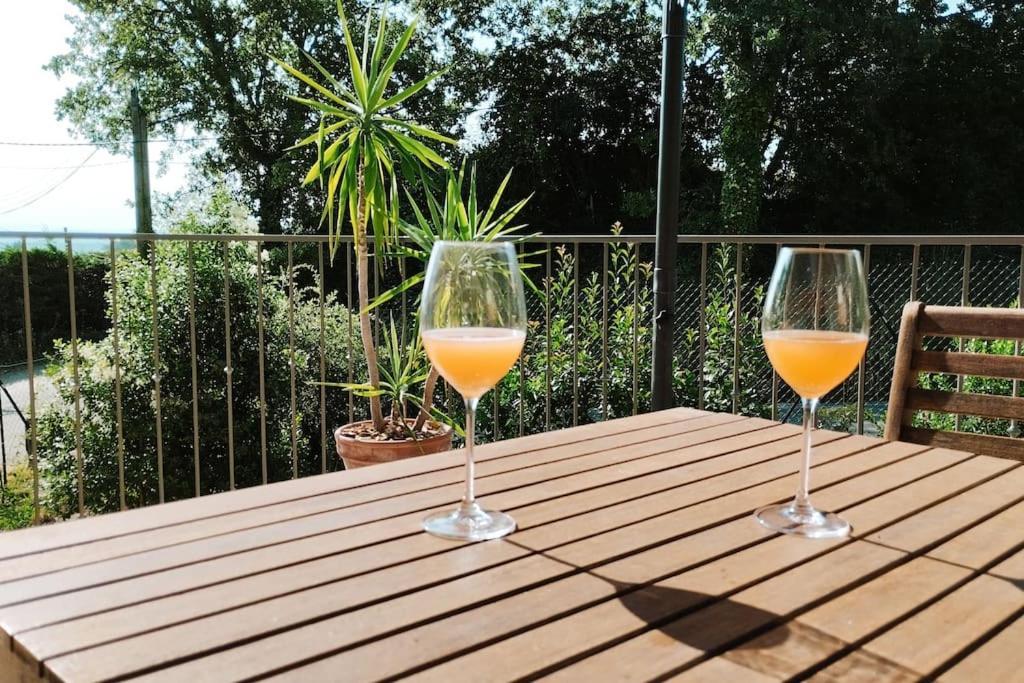 Charmante Maison Avec Jardin Aux Portes Des Gorges De L'Ardeche Saint-Julien-de-Peyrolas Eksteriør billede