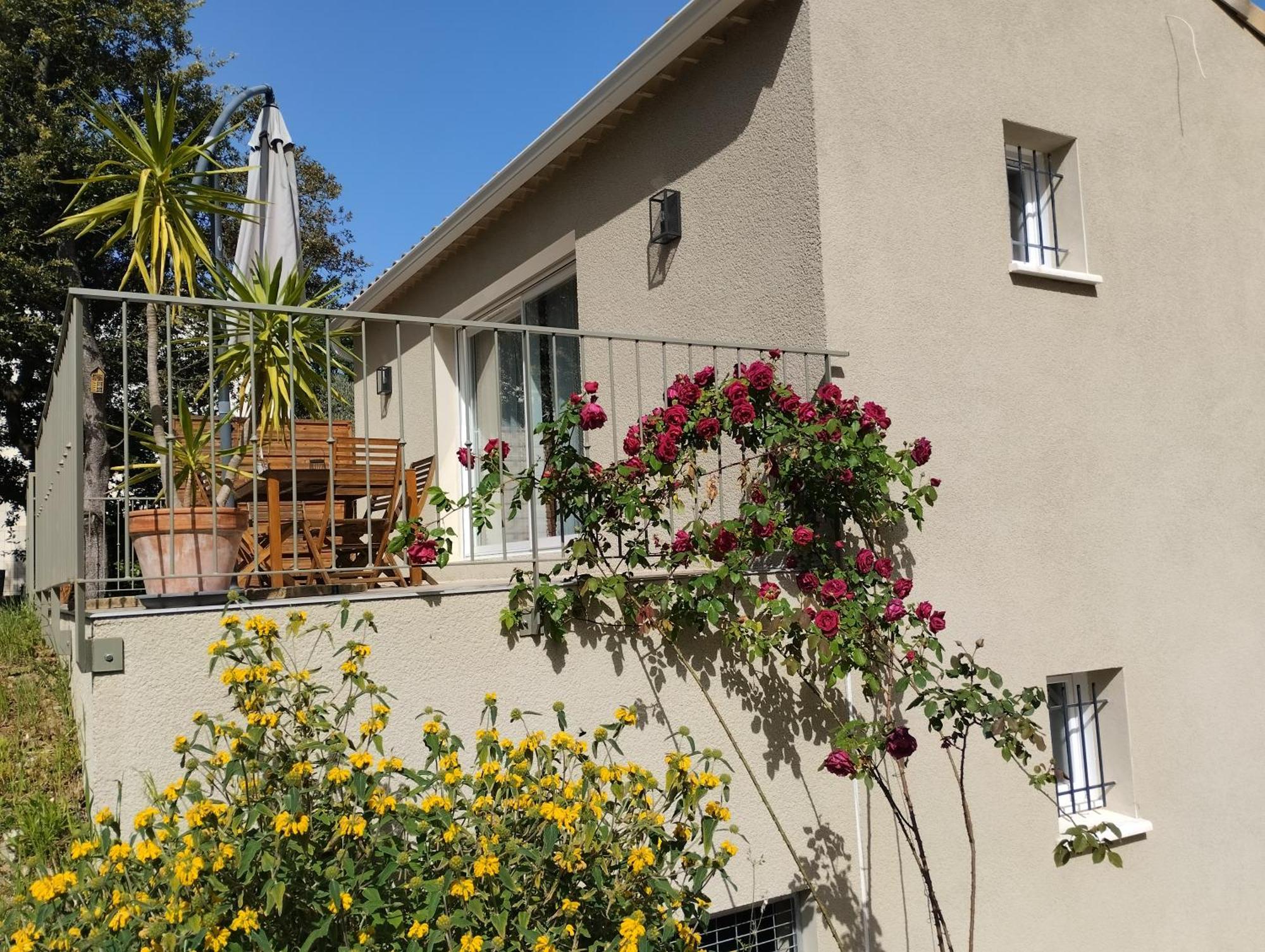 Charmante Maison Avec Jardin Aux Portes Des Gorges De L'Ardeche Saint-Julien-de-Peyrolas Eksteriør billede